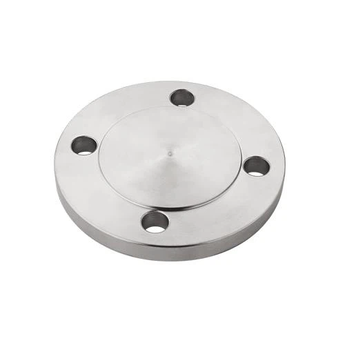Alloy Steel Flange Cover