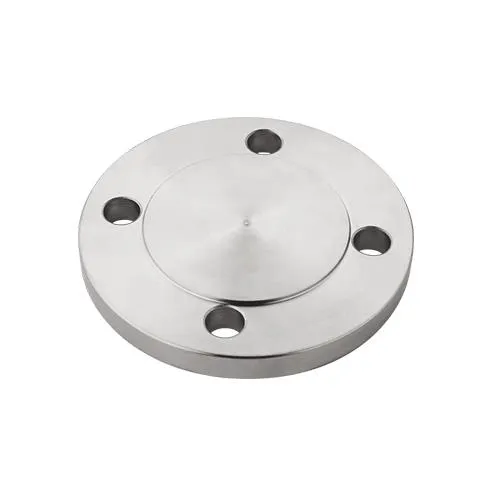 ASME Flange Cover